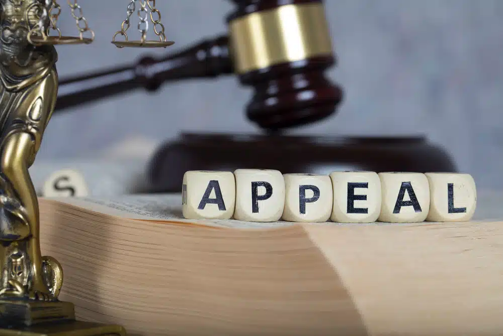 appeal in court process uae